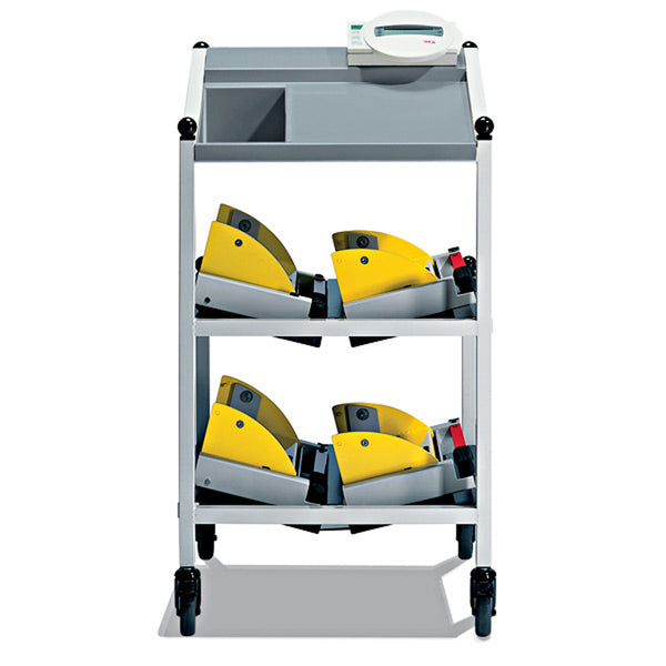 Seca 984 Electronic Bed And Dialysis Scales With Equipment Trolley