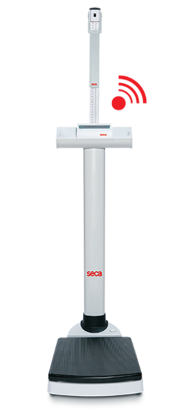 Seca 703 Electronic Column Scales with Measuring Road